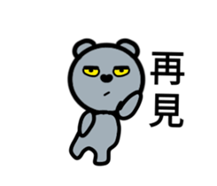 24320738