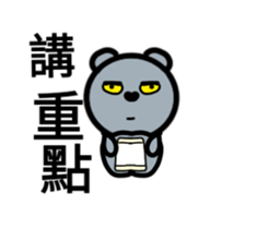 24320741