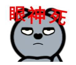 24320743