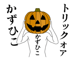 24321015