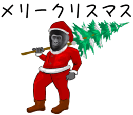 24322729