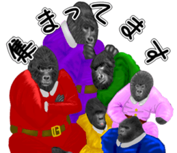 24322731