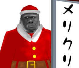 24322733