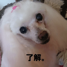 24326622