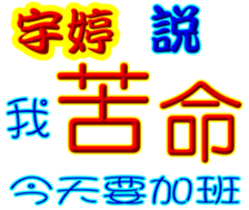 243285637