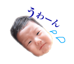 24328762