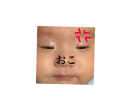24328766