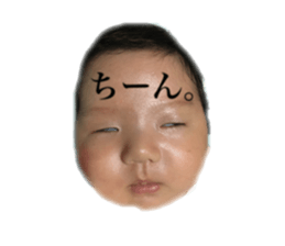 24328770