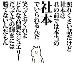 243301653