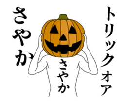 24330807