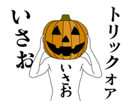 24331167