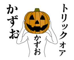 24331231