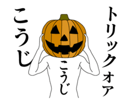 24332255