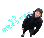 243345355