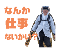 243345359