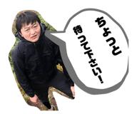 243345360