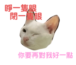 243350254