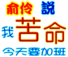 243371677