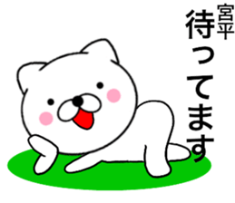 24337257