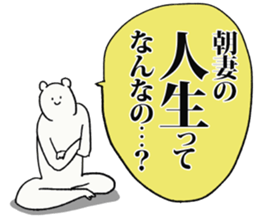 243384524