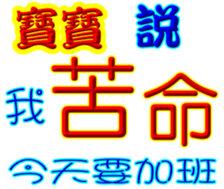 243413949