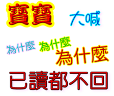 243413954