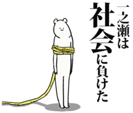 243440351