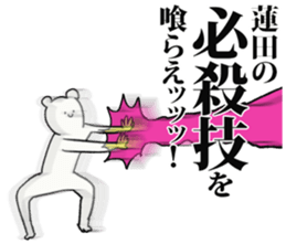 243443339