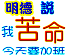 243449029