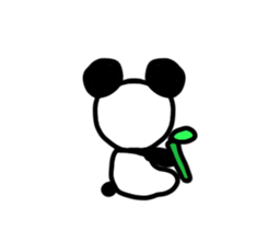 24346635