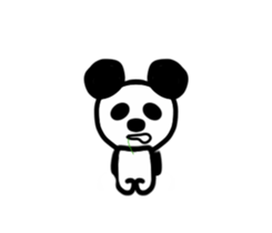 24346636