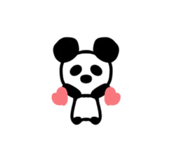 24346639