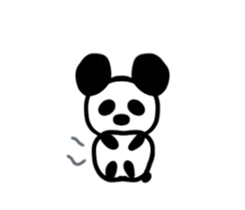 24346641