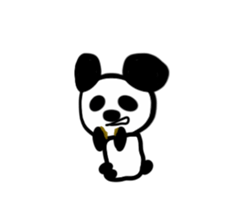 24346643