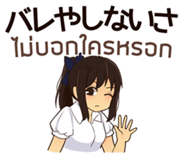24351320