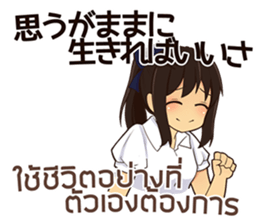 24351323