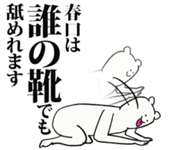 243535999