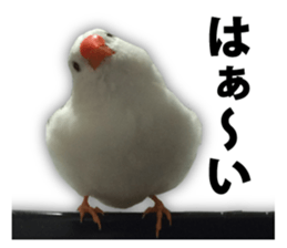 243582672