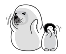 24359989