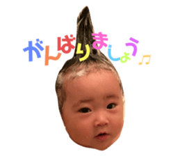 243600701