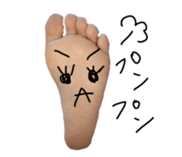 243613821