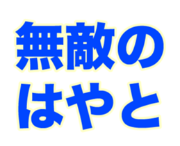 243665294
