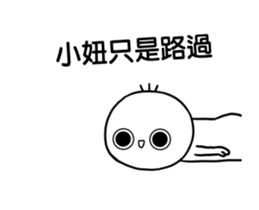 243679646