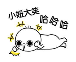 243679652