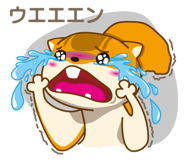 2436943