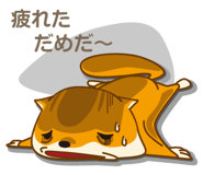 2436955