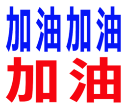 243708846