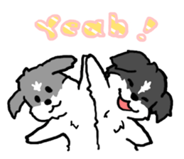 2437138