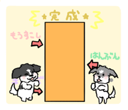 2437145