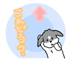 2437162